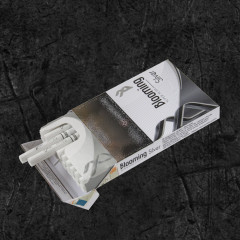 Сигареты Блюминг Сильвер (Blooming Silver)